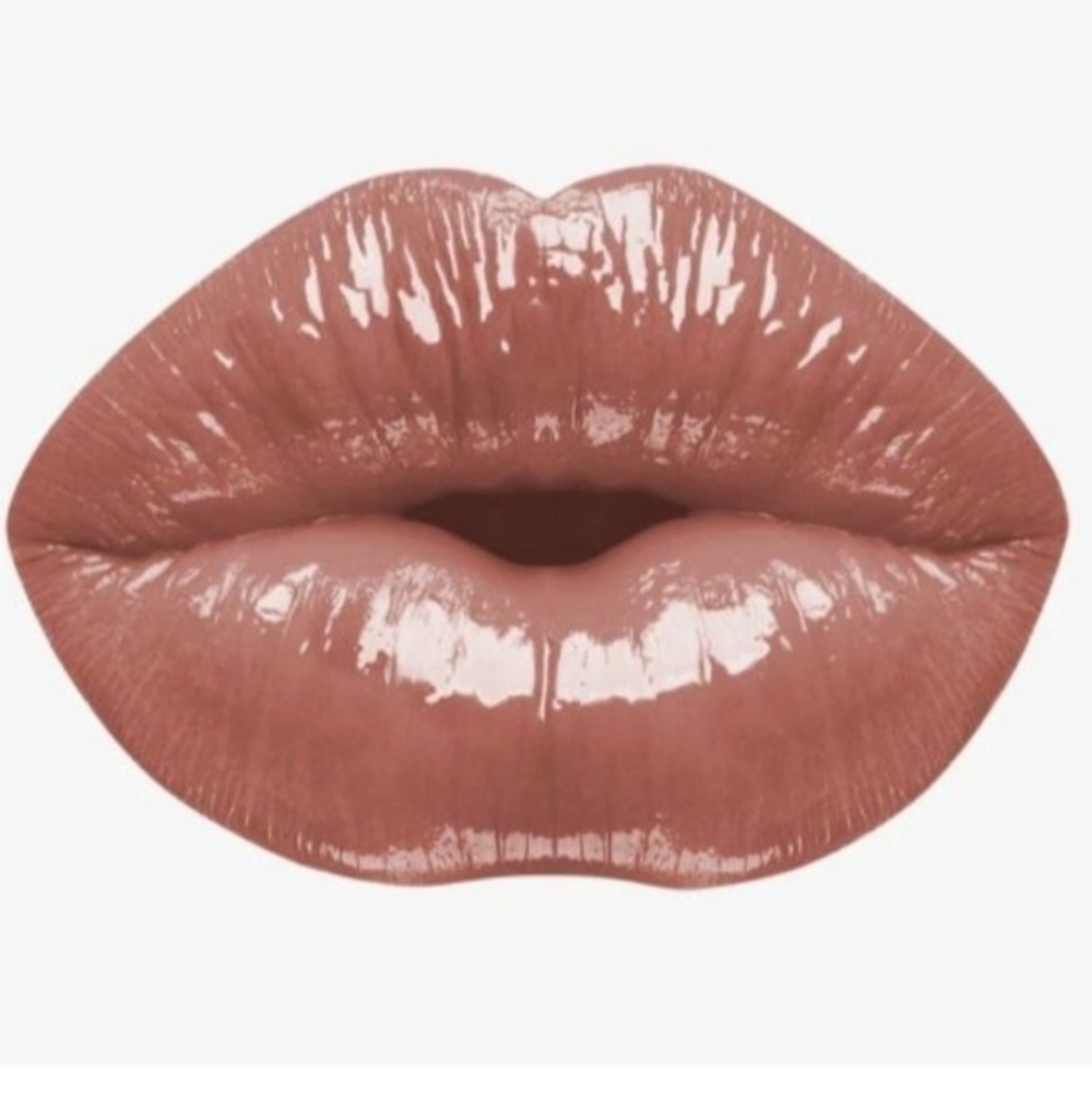 LAST ONE 🔥KARITY the gloss high shine lip gloss shade layla